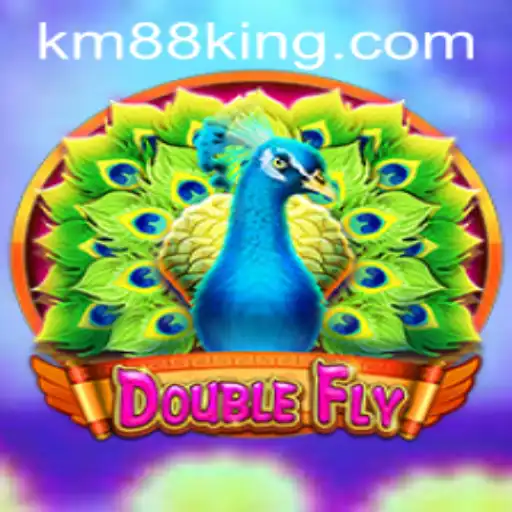 Discovering DoubleFly: An Innovative Gaming Experience