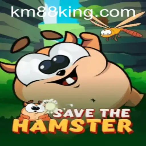 Unveiling SavetheHamster: The Adventure Awaits with the KM88 Challenge